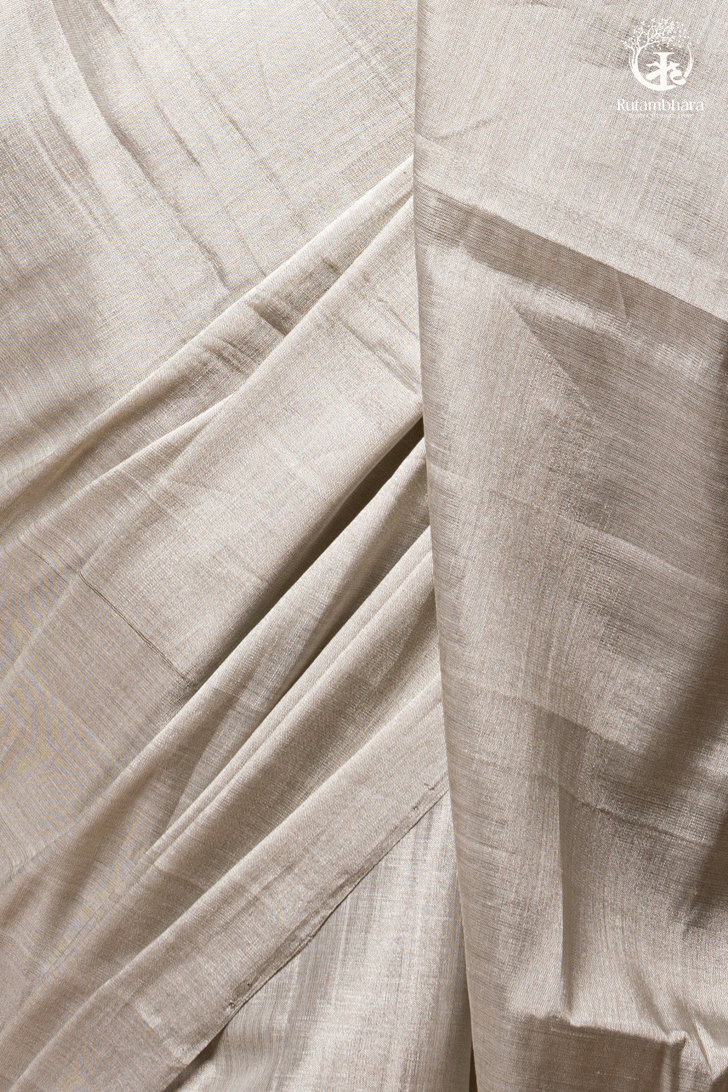 Swarvi - Silver Zari Handwoven Chanderi Tissue Saree