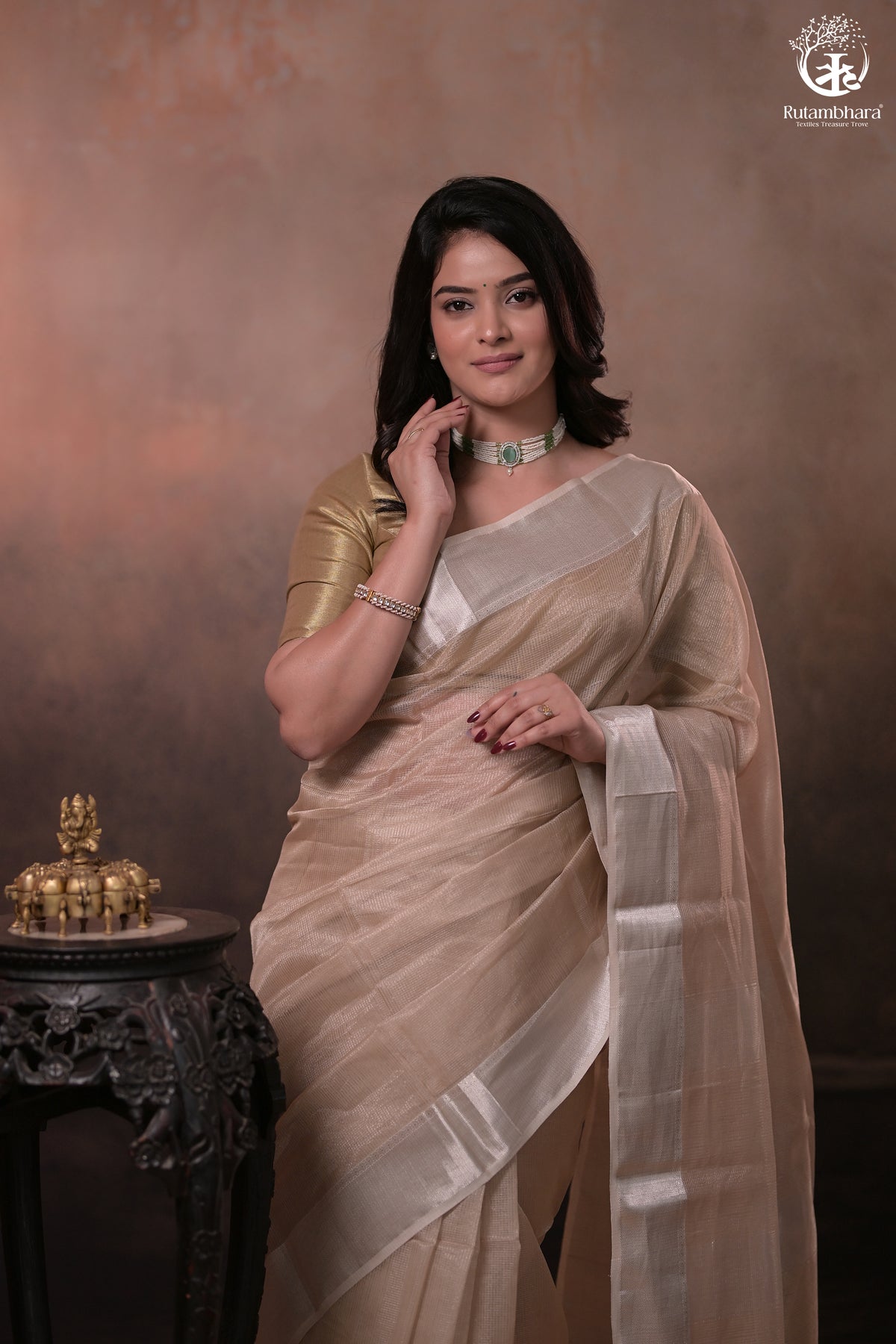 Narmaa - Silver Tissue Checks Mocha Beige With Silver Lehar Border Saree