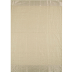 Handwoven Maheshwari Silk Cotton Tissue Saree-Rutambhara-RUTAMBHARA