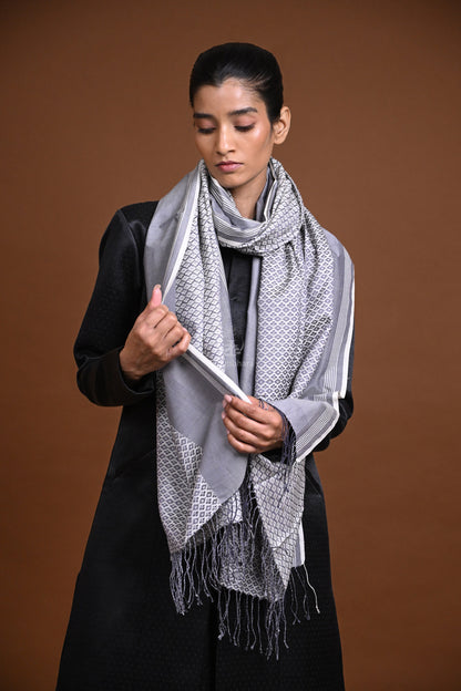Eiraa - Handwoven Monochrome stole with broad plain border elegantly woven with silk and cotton yarns.-Rutambhara-RUTAMBHARA