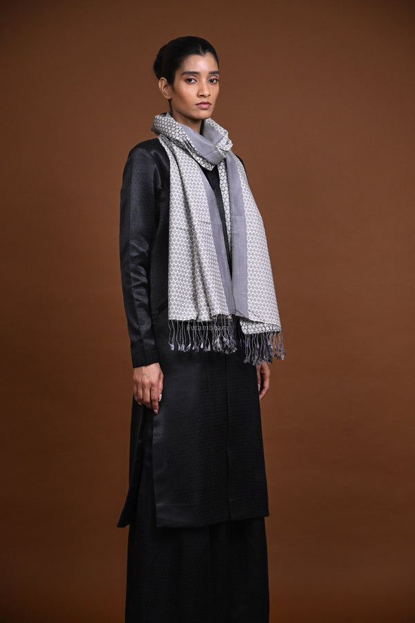 Eiraa - Handwoven Monochrome stole with broad plain border elegantly woven with silk and cotton yarns.-Rutambhara-RUTAMBHARA