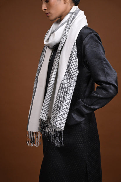 Eiraa - Handwoven Monochrome stole with broad plain border elegantly woven with silk and cotton yarns.-Rutambhara-RUTAMBHARA