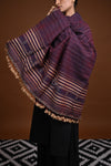Jessal - Maroonish Blue Handwoven silk woollen shawl with traditional motifs