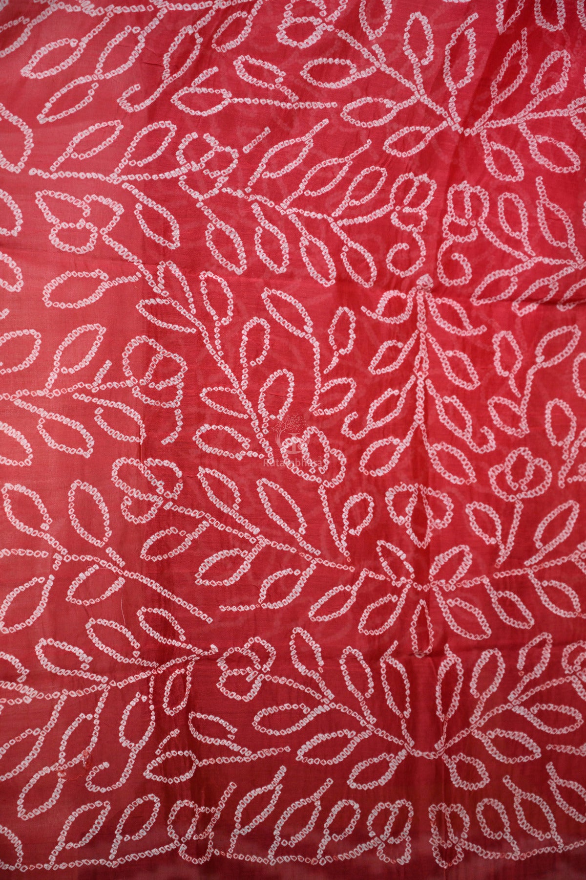BUSHRA - RED PINK OMBRE CHANDERI RAI BANDHEJ DUPATTA-Rutambhara-RUTAMBHARA