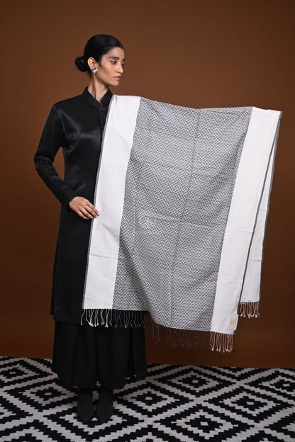 Eiraa - Handwoven Monochrome stole with broad plain border elegantly woven with silk and cotton yarns.-Rutambhara-RUTAMBHARA