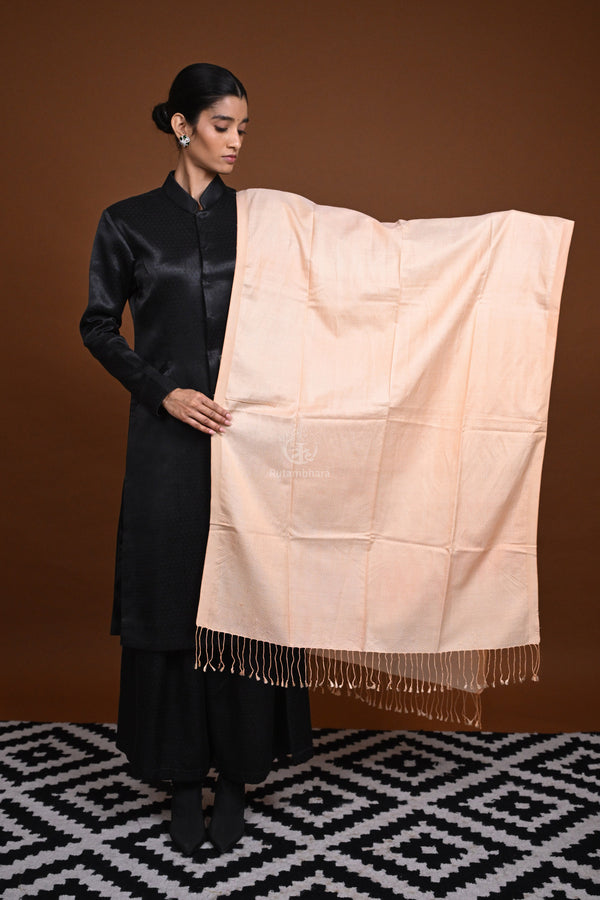 Eiraa - Handwoven Monochrome stole with broad plain border elegantly woven with silk and cotton yarns-Rutambhara-RUTAMBHARA