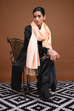 Eiraa - Handwoven Monochrome stole with broad plain border elegantly woven with silk and cotton yarns-Rutambhara-RUTAMBHARA