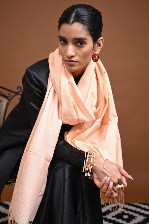 Eiraa - Handwoven Monochrome stole with broad plain border elegantly woven with silk and cotton yarns-Rutambhara-RUTAMBHARA