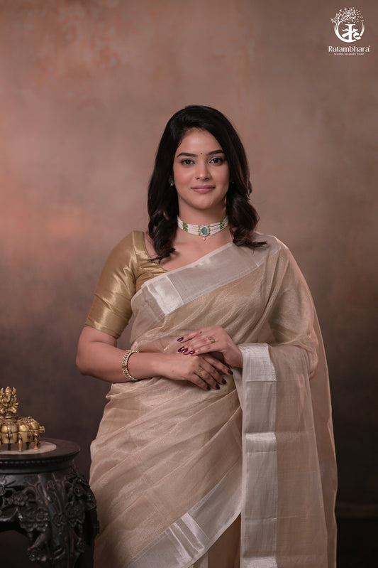 Narmaa - Silver Tissue Checks Mocha Beige With Silver Lehar Border Saree