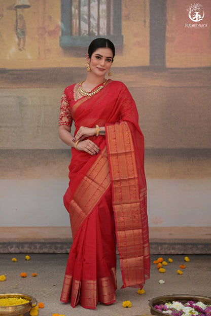 Bhadra - Red Plain Handwoven Silk Cotton Saree With Gold Zari Kanchi Border-Rutambhara-RUTAMBHARA