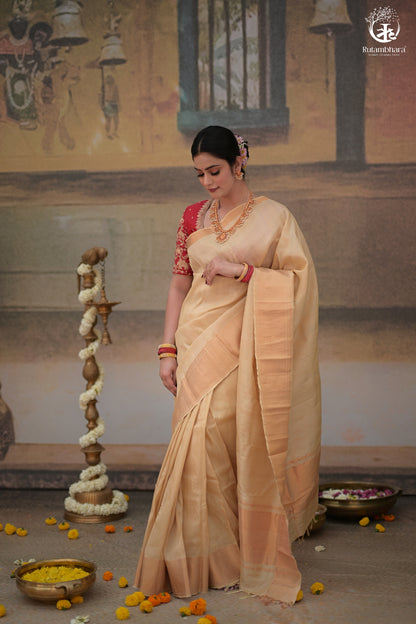 Bhadra - Beige Plain Handwoven And Handspun Silk Saree With Gold Zari Border-Rutambhara-RUTAMBHARA
